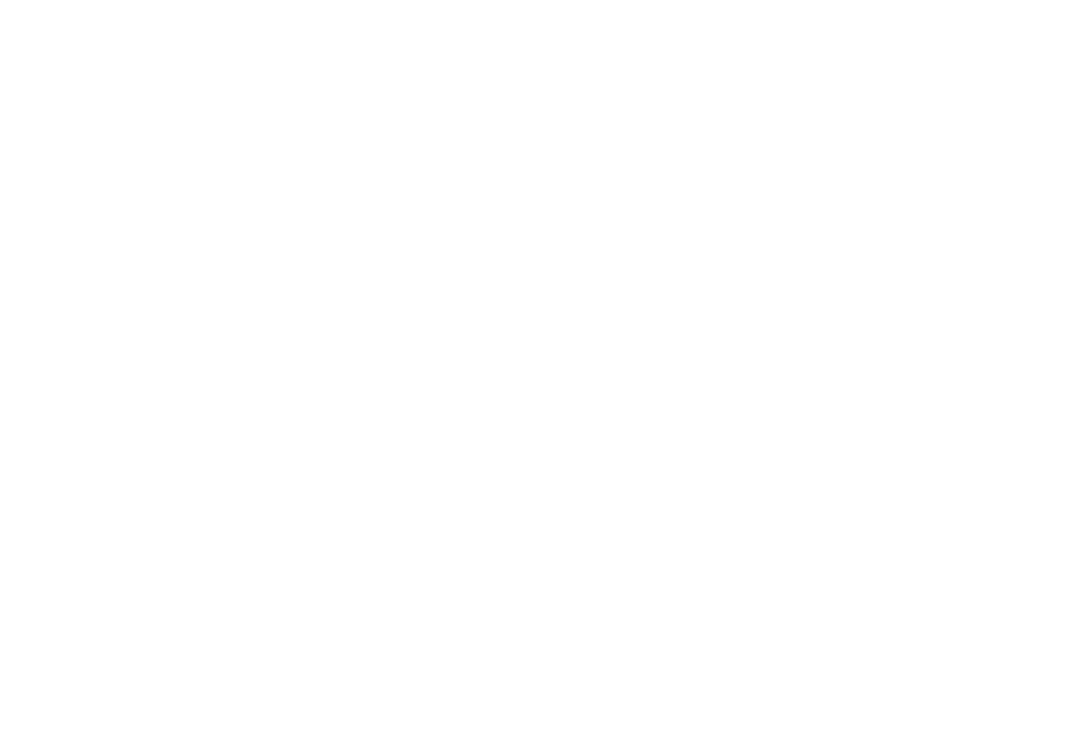 LogiZen Logo White